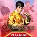 Spadegaming