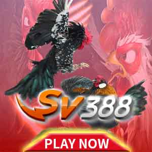 SV388 Cockfighting